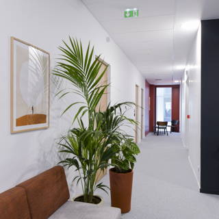Bureau privé 29 m² 8 postes Location bureau Rue Amédée Saint-Germain Bordeaux 33800 - photo 8